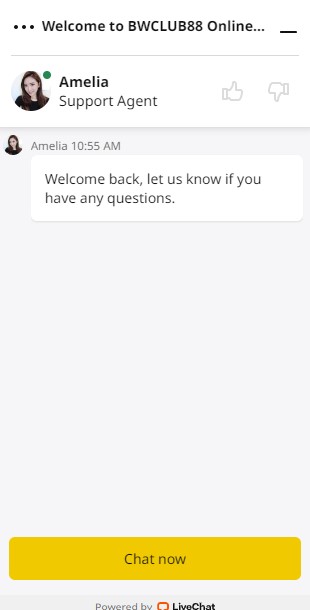 BWC88-Customer-Support